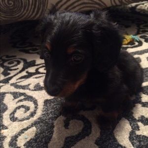 Meet your Posher, Bill